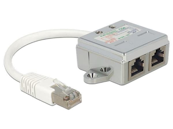 Delock RJ45 Port Doubler - Ethernet 100Base-TX-splitter - RJ-45 (hann) til RJ-45 (4-pin) (hunn) - 15 cm