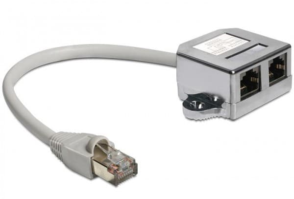 Delock RJ45 Port Doubler - Ethernet 100Base-TX-splitter - RJ-45 (hann) til RJ-45 (4-pin) (hunn) - 15 cm