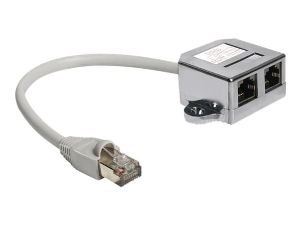 Delock RJ45 Port Doubler - Ethernet 100Base-TX-splitter - RJ-45 (hann) til RJ-45 (4-pin) (hunn) - 15 cm
