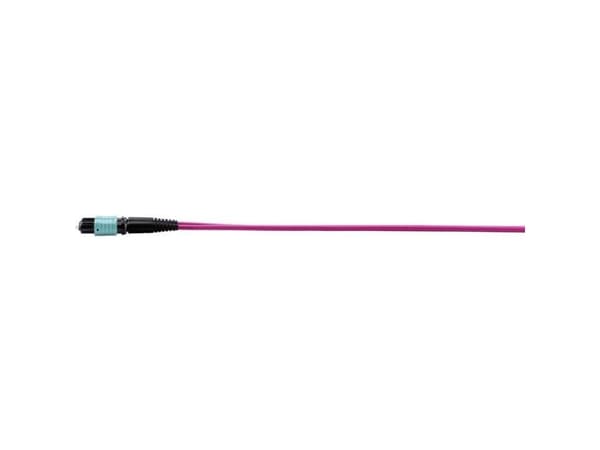 Renkforce RF-4299548, 5 m, 3.5mm, MPO