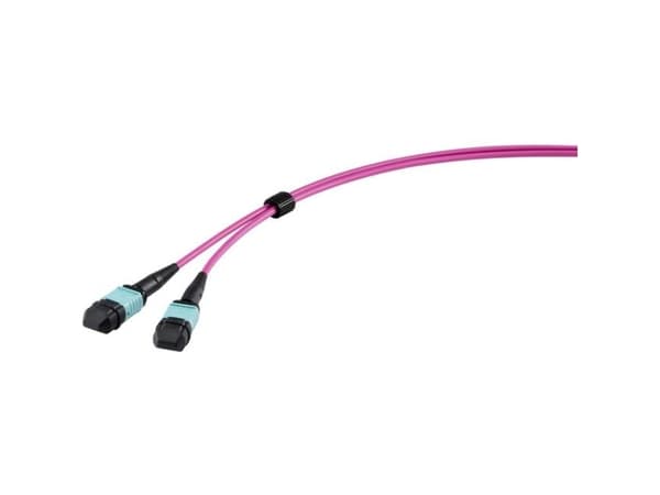 Renkforce RF-4299548, 5 m, 3.5mm, MPO