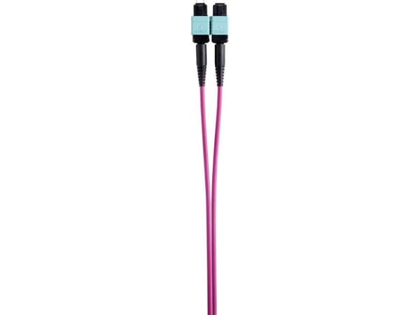 Renkforce RF-4299548, 5 m, 3.5mm, MPO