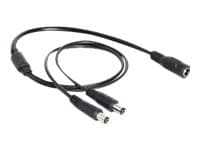 Delock - Strøm-splitter - DC jackstik 5,5 x 2,1 mm (han) til DC jackstik 5,5 x 2,1 mm (hun) - 50 cm