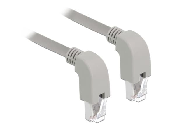 Delock - Patchkabel - RJ-45 (han) nedvinklet til RJ-45 (han) nedvinklet - 1 m - SF/UTP - CAT 5e - booted, halogenfri - grå