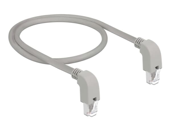 Delock - Patchkabel - RJ-45 (han) nedvinklet til RJ-45 (han) nedvinklet - 1 m - SF/UTP - CAT 5e - booted, halogenfri - grå