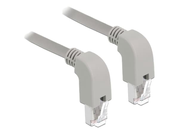 Delock - Patchkabel - RJ-45 (han) nedvinklet til RJ-45 (han) nedvinklet - 1 m - SF/UTP - CAT 5e - booted, halogenfri - grå