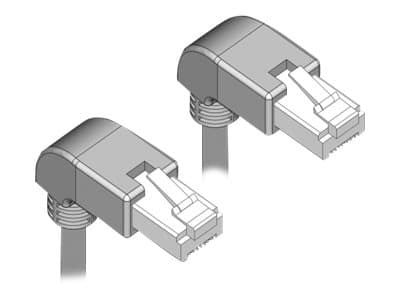 Delock - Patchkabel - RJ-45 (han) nedvinklet til RJ-45 (han) nedvinklet - 1 m - SF/UTP - CAT 5e - booted, halogenfri - grå