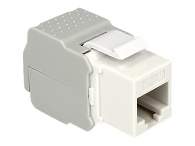 Delock Keystone module - Modulinnlegg - CAT 6 - UTP - RJ-45 - hvit
