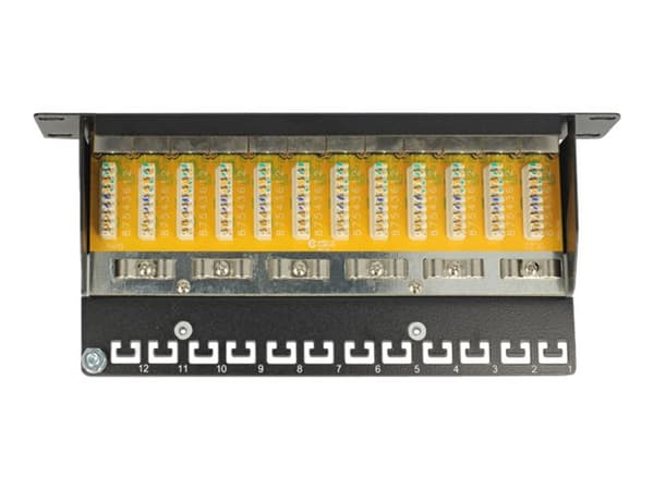 Delock - Patch-panel - CAT 6 - RJ-45 X 12 - svart - 1U - 10"