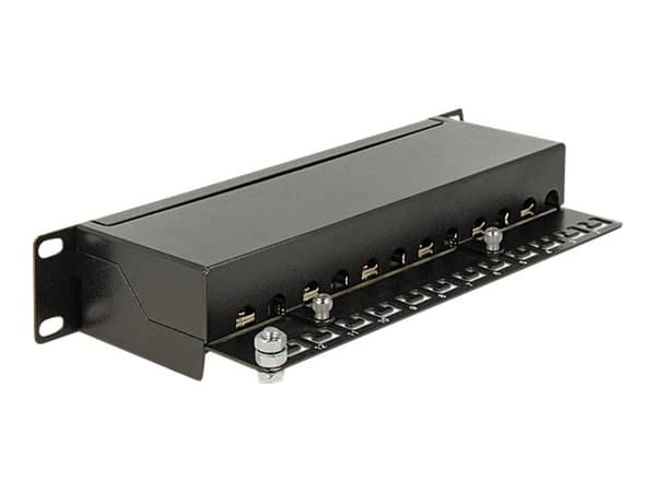 Delock - Patch-panel - CAT 6 - RJ-45 X 12 - svart - 1U - 10"