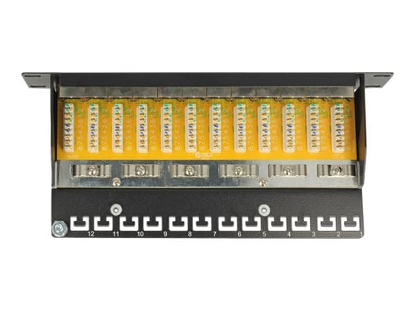 Delock - Koblingspanel - CAT 6 - RJ-45 X 12 - lysegrå - 1U - 10"