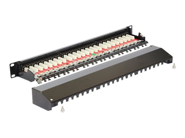 Delock - Koblingspanel - CAT 6a - RJ-45 X 24 - kullsort, RAL 9005 - 1U - 19"