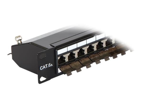 Delock - Koblingspanel - CAT 6a - RJ-45 X 24 - kullsort, RAL 9005 - 1U - 19"