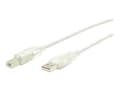 Miniatyrbild 1 av 5: StarTech.com 10 ft Transparent USB 2.0 Cable - A to B - USB cable - USB (M) to USB Type B (M) - 10 ft - transparent - USBFAB10T - USB-kabel - USB (ha