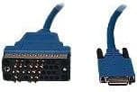 Cisco - V.35-kabel (DTE) - Smart Serial (hann) til M/34 (V.35) (hann) - 3 m - blå - for Cisco 1700, 1720, 805, AS5300