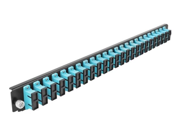 Delock - Fiberoptisk skjøtebokpanel - foran - SC SM X 48 - svart, akvamarin - 1U - 19" Akva