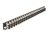 Delock - Fiber-optic splice box rack mount panel - fram - SC MM X 24 - beige - 1U - 19" Beige