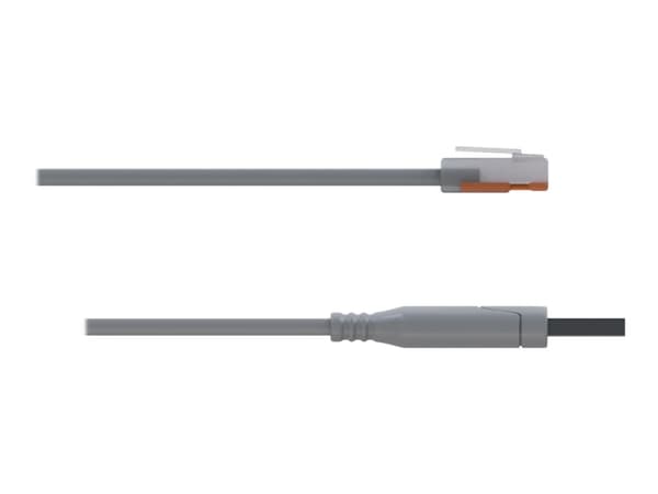 Teltonika Console cable - Seriell RS-232-kabel - USB (hane) till RJ-45 (hane) - 1.8 m - USB 2.0 - för Teltonika RUTXR1