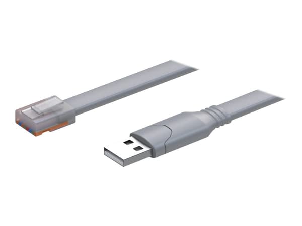 Teltonika Console cable - Seriell RS-232-kabel - USB (hane) till RJ-45 (hane) - 1.8 m - USB 2.0 - för Teltonika RUTXR1