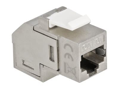Delock - Modulinnlegg (kopling) - CAT 6a - STP - RJ-45 - hvit, sølv