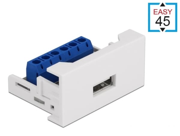 Delock - Easy 45 - snäppbar modul - USB - 1 modul - vit, RAL 9003