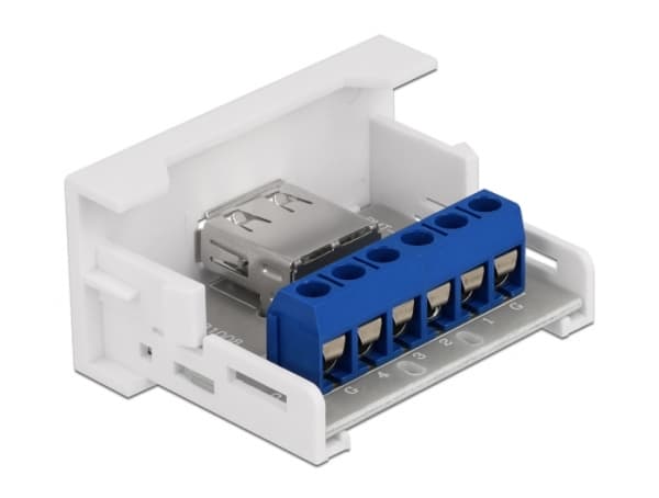 Delock - Easy 45 - snäppbar modul - USB - 1 modul - vit, RAL 9003