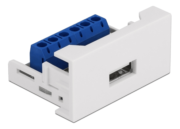 Delock - Easy 45 - snäppbar modul - USB - 1 modul - vit, RAL 9003