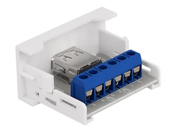 Delock - Easy 45 - snäppbar modul - USB - 1 modul - vit, RAL 9003