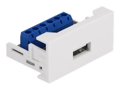 Delock - Easy 45 - snäppbar modul - USB - 1 modul - vit, RAL 9003