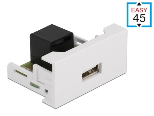 Delock - Easy 45 - snäppbar modul - USB - 1 modul - vit, RAL 9003