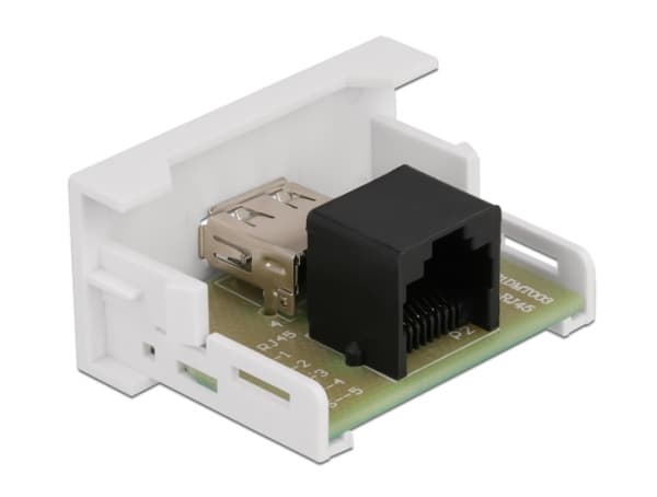 Delock - Easy 45 - snäppbar modul - USB - 1 modul - vit, RAL 9003