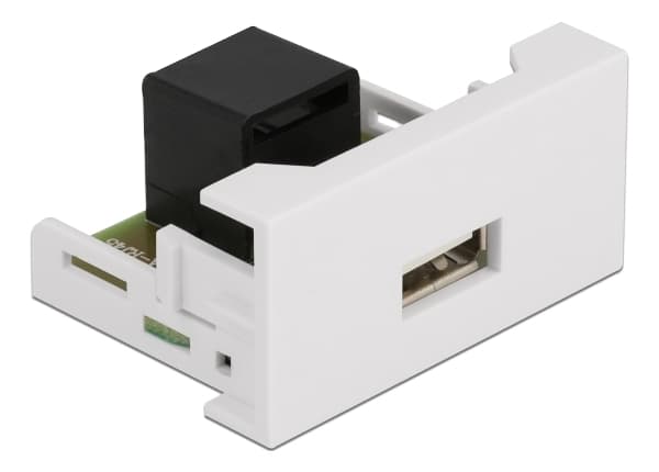Delock - Easy 45 - snäppbar modul - USB - 1 modul - vit, RAL 9003