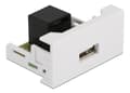Miniatyrbild 5 av 5: Delock - Easy 45 - snäppbar modul - USB - 1 modul - vit, RAL 9003