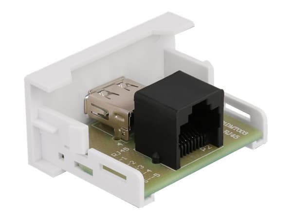 Delock - Easy 45 - snäppbar modul - USB - 1 modul - vit, RAL 9003
