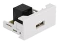 Miniatyrbild 1 av 5: Delock - Easy 45 - snäppbar modul - USB - 1 modul - vit, RAL 9003