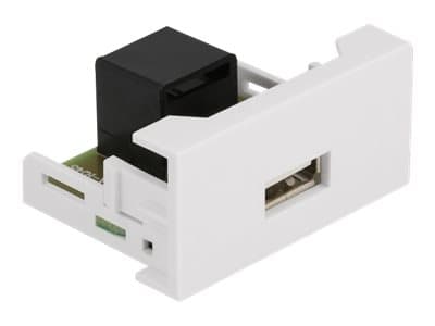 Delock - Easy 45 - snäppbar modul - USB - 1 modul - vit, RAL 9003
