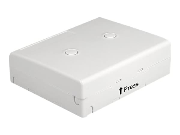 Delock - Fiber-optic connection box - veggmonterbar - hvit