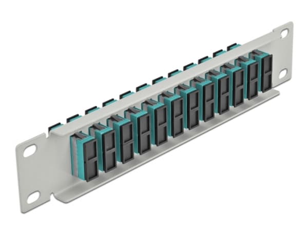 Delock - Patch-panel - SC Duplex MM X 12 - grå - 1U - 10"