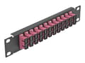Miniatyrbild 1 av 4: Delock - Patch-panel - kan monteras i skåp - SC Duplex MM X 12 - svart, violett - 1U - 10"