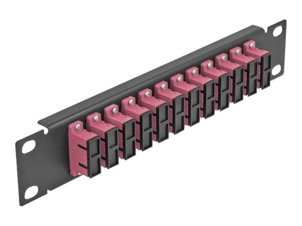 Delock - Patch-panel - kan monteras i skåp - SC Duplex MM X 12 - svart, violett - 1U - 10" Svart, Violett