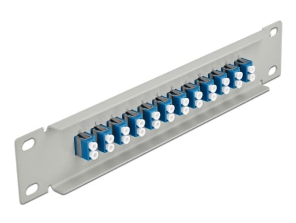 Delock - Patch-panel - kan monteras i skåp - LC SM X 24 - grå, blå - 1U - 10"