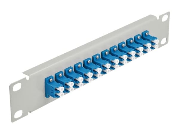 Delock - Patch-panel - kan monteras i skåp - LC SM X 24 - grå, blå - 1U - 10" Blå, Grå