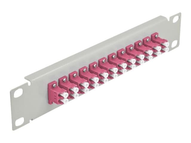 Delock - Patch-panel - LC Duplex MM X 12 - grå - 1U - 10"