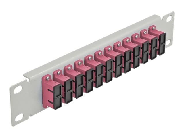 Delock - Patch-panel - SC Duplex MM X 12 - grå - 1U - 10"
