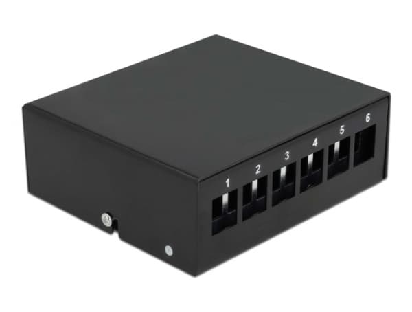 Delock - Blank keystone-patchpanel - väggmontering, kan monteras på DIN-skena - svart - 6 portar