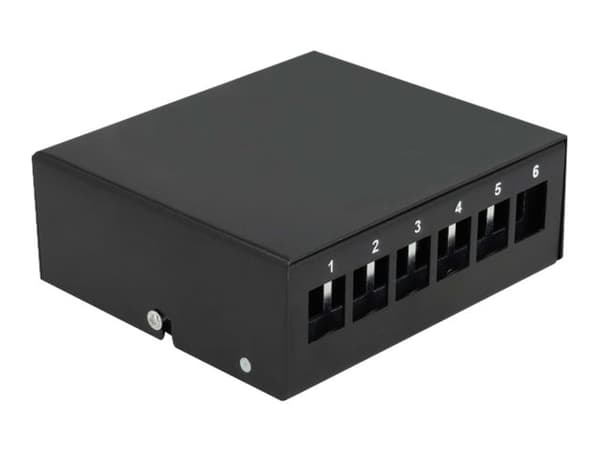 Delock - Blank keystone-patchpanel - väggmontering, kan monteras på DIN-skena - svart - 6 portar Svart