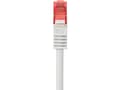 Pikkukuva 1 / 5: Renkforce RF-4724290, 0,25 m, Cat6, S/FTP (S-STP), RJ-45, RJ-45