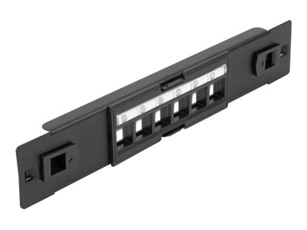 Delock - Sort sluttsten-patchpanel - sort - 1U - 10" - 6 porter Sort