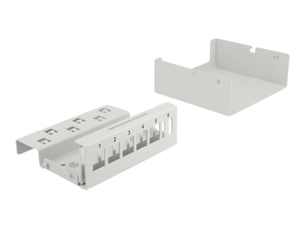 Delock - Blankt Keystone pluggbord - veggmonterbar, DIN-skinnemonterbar - grå - 6 porter