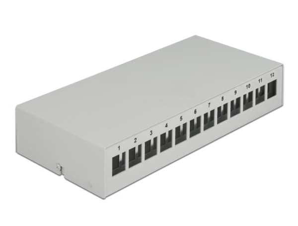 Delock - Blank keystone-patchpanel - väggmontering, kan monteras på DIN-skena - grå - 12 portar